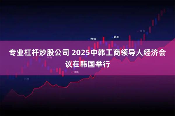 专业杠杆炒股公司 2025中韩工商领导人经济会议在韩国举行