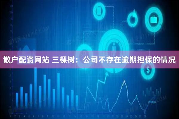 散户配资网站 三棵树：公司不存在逾期担保的情况