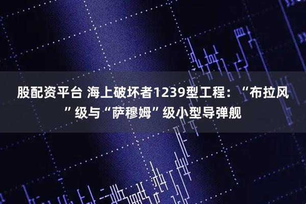 股配资平台 海上破坏者1239型工程：“布拉风”级与“萨穆姆”级小型导弹舰
